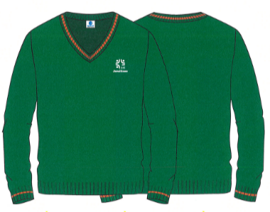 A7365 JERSEY Jersey - Imagen 1
